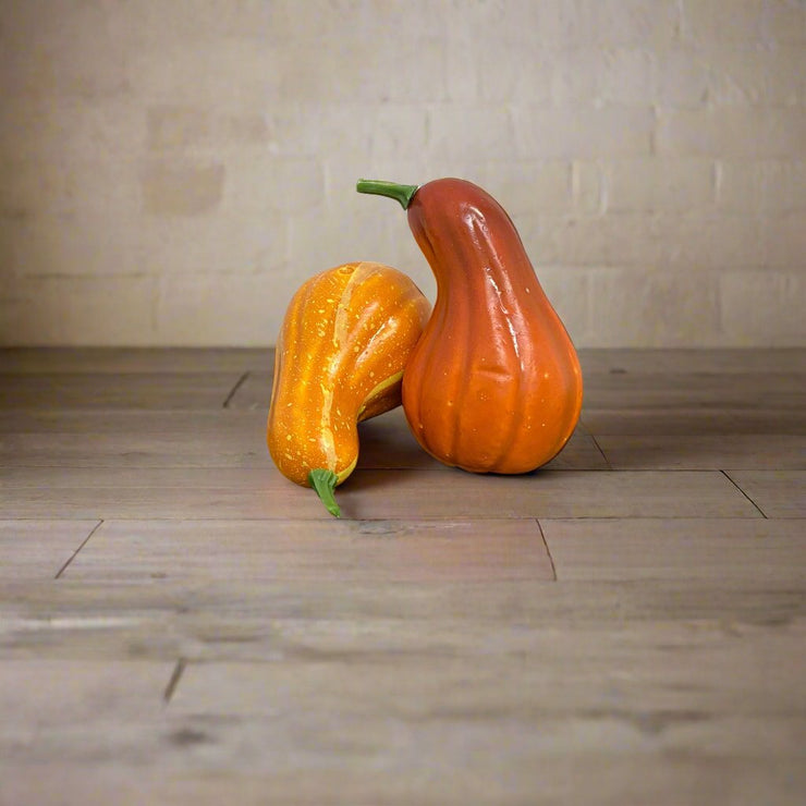 Calabaza Naranja Larga