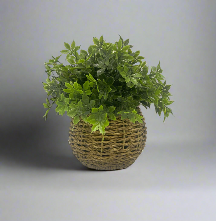 Planta Decorativa Con Base de Rattan