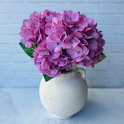 Hortensia Lila