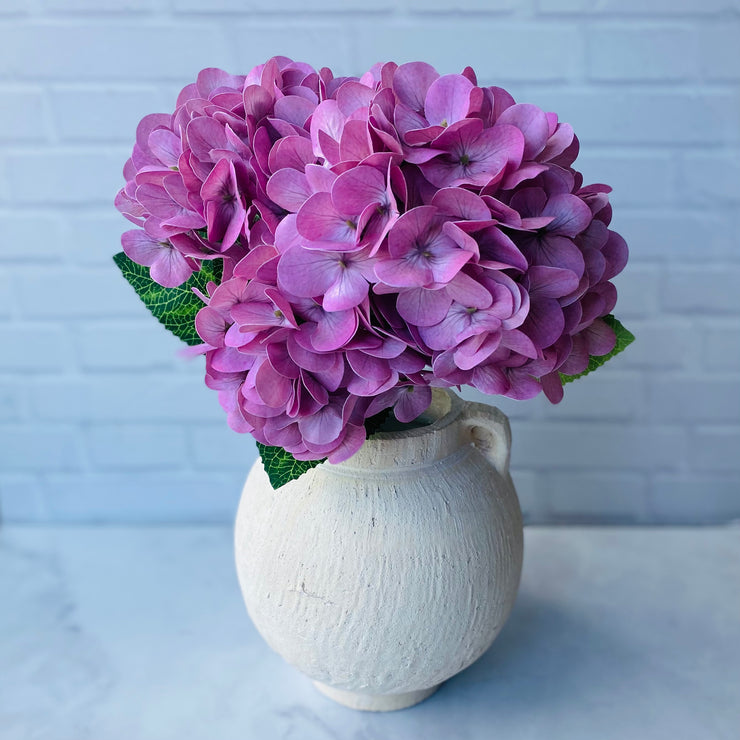 Hortensia Lila