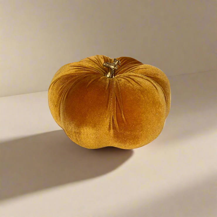 Calabaza Grande Mostaza