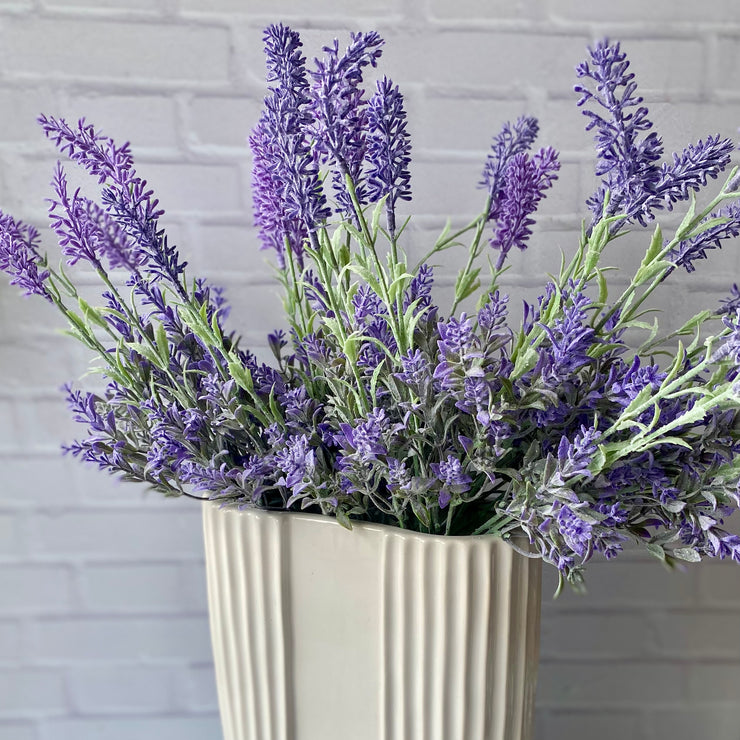 Lavanda