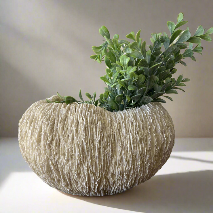 Bowl Coral