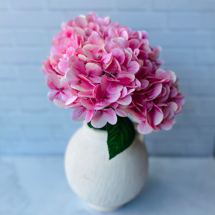 Hortensia Rosa