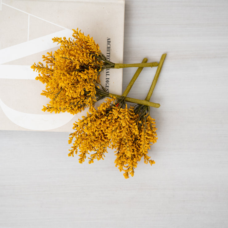 Follaje Solidago Amarillo Pequeño