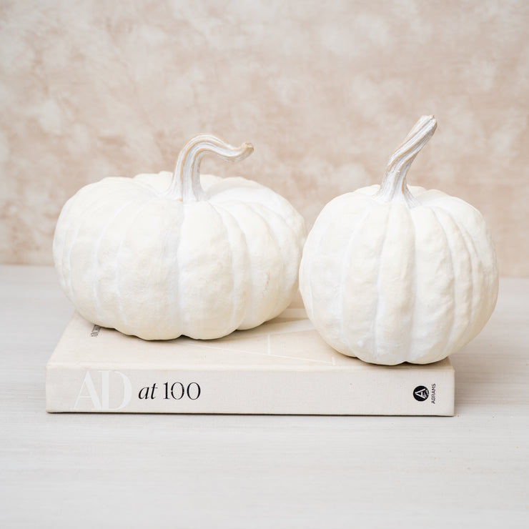 Calabaza Blanca Texturizada