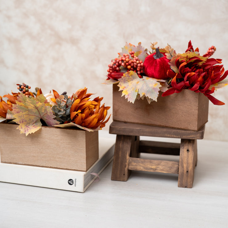 Planta Calabazas & Flores