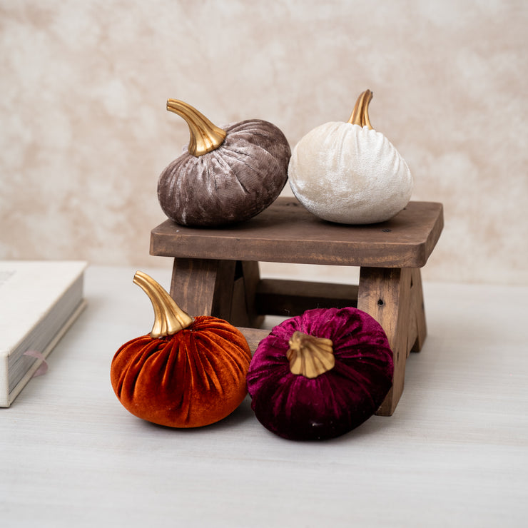 Calabaza Mística Varias