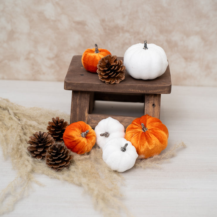 Red de Calabazas & Bellotas
