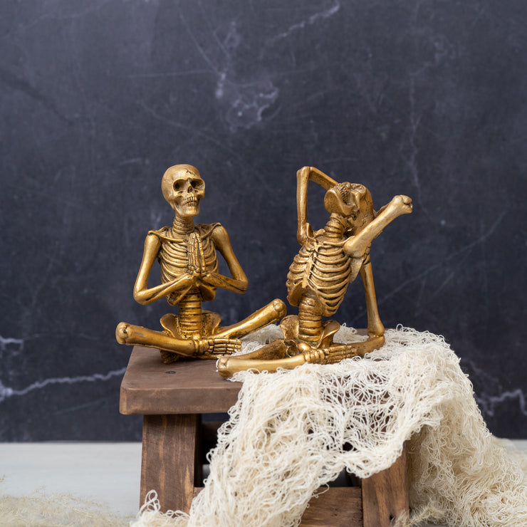 Esqueleto Yoga