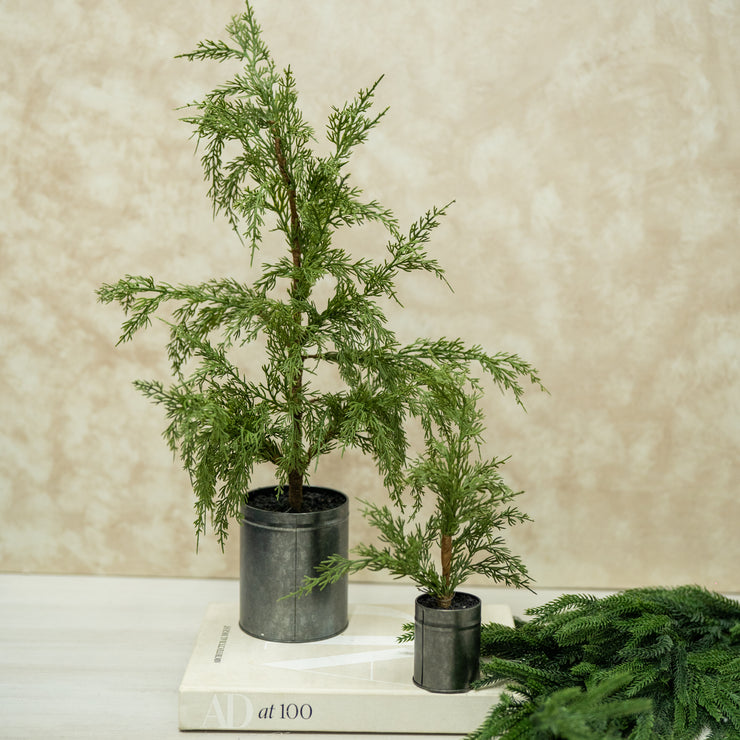 Pino Estilo Natural con Base Metálica