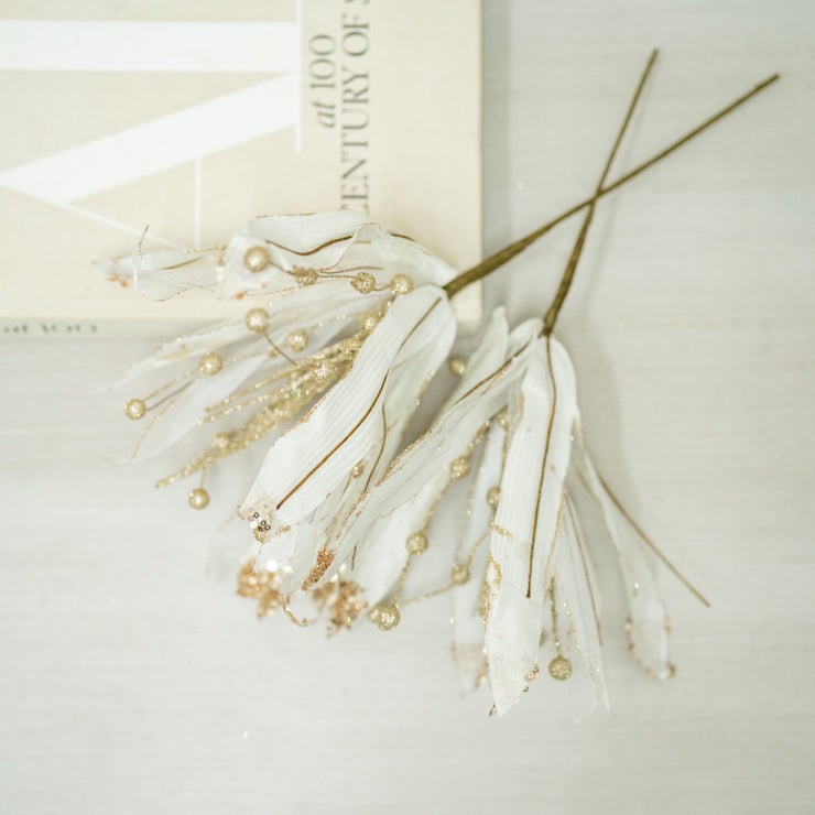 Pascua Blanca Larga