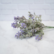 Follaje Verde y Morado Cenizo