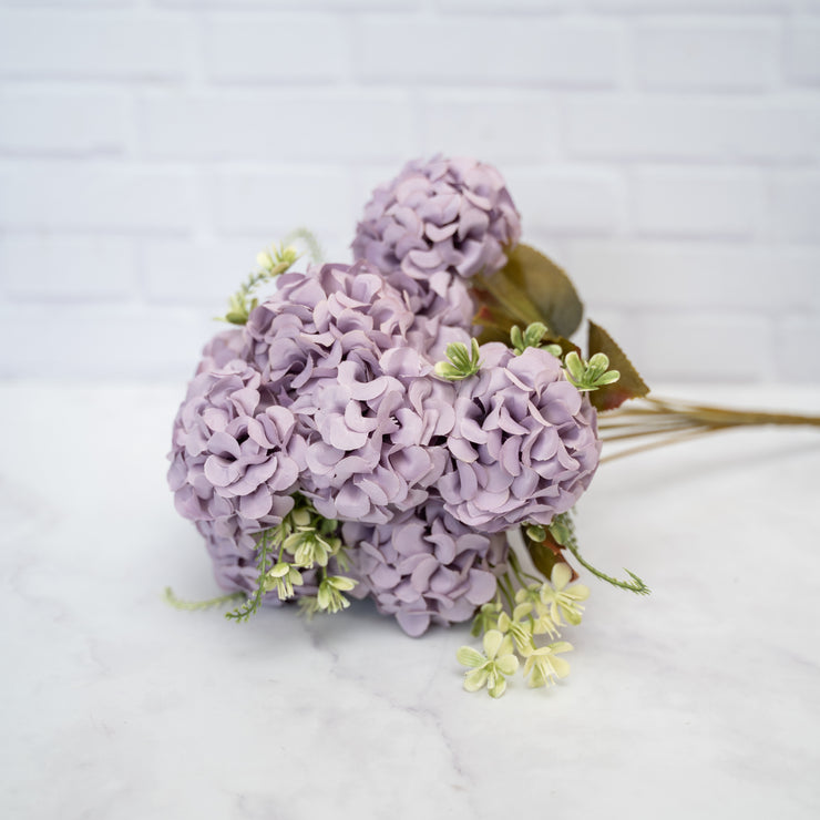 Hortensia Pompon Morado Suave