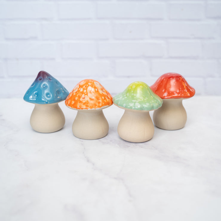Hongos de colores