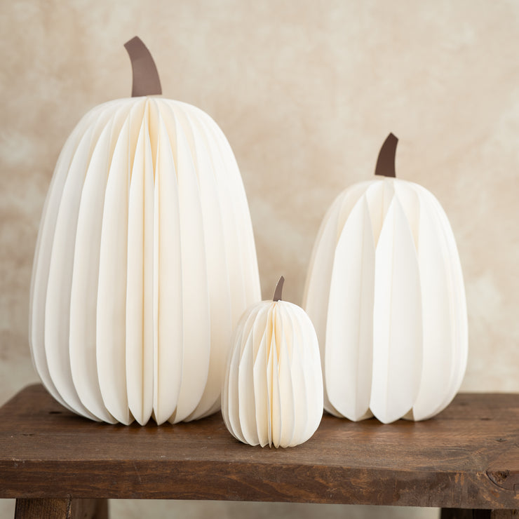 Calabaza Blanca de Panal de Papel Altas