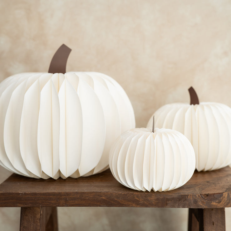 Calabaza Blanca de Panal de Papel