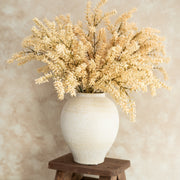 Follaje Solidago Beige