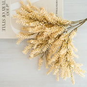 Follaje Solidago Beige