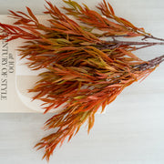 Follaje Naranja & Café