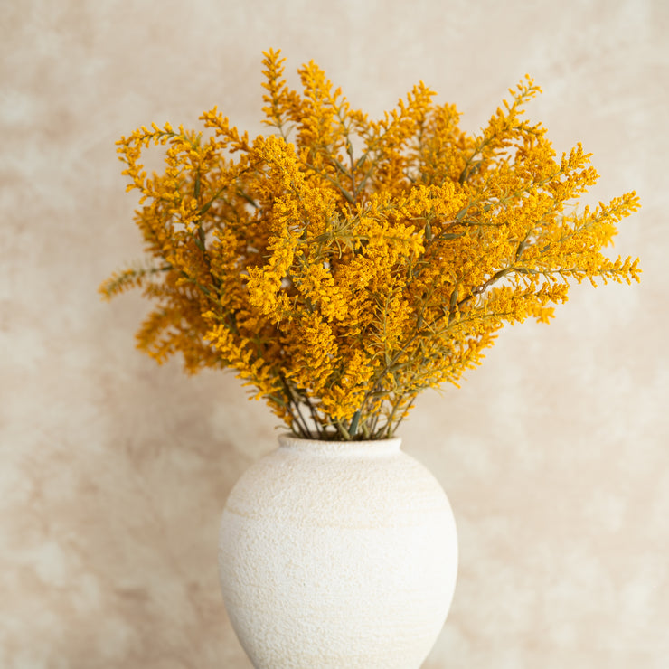 Follaje Solidago Amarillo