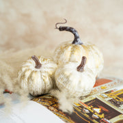 Calabaza Champagne