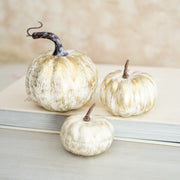 Calabaza Champagne