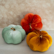 Calabaza Velvet Verde Suave