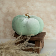 Calabaza Velvet Verde Suave