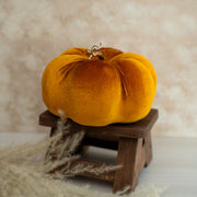 Calabaza Velvet Mostaza