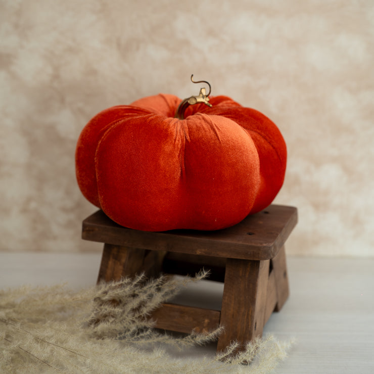 Calabaza Velvet Naranja