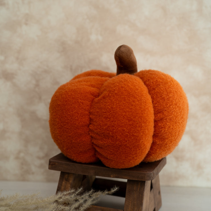Cojin Calabaza Naranja Quemado