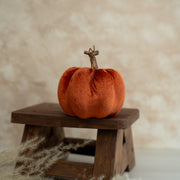 Calabaza Velvet Mediana