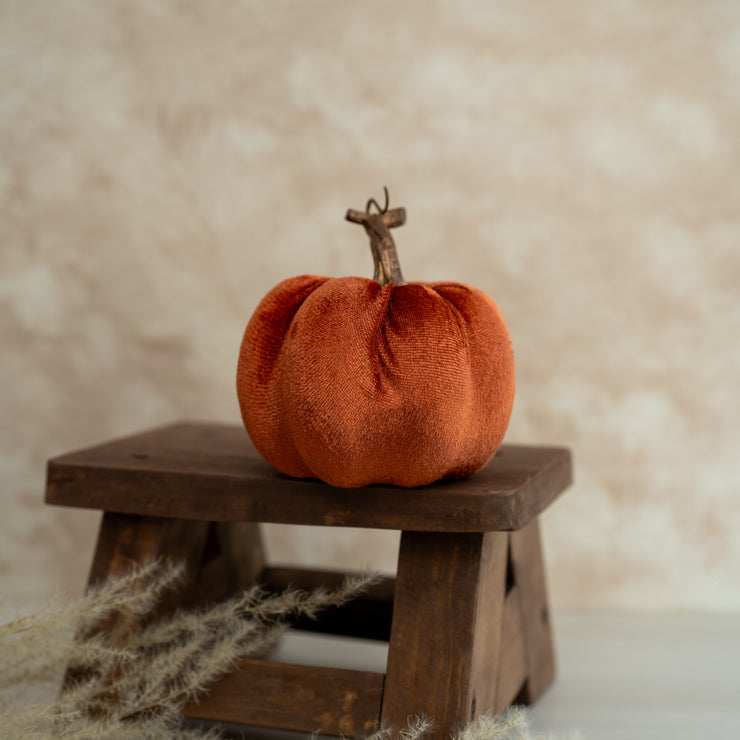 Calabaza Velvet Mediana