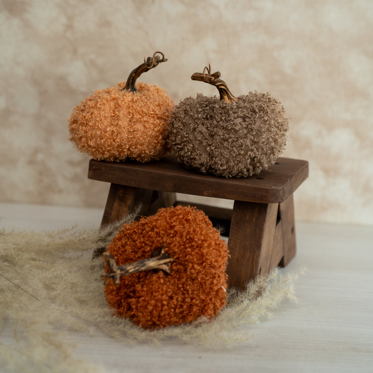 Calabaza De Boucle Pequeñas en Tonos Tierra