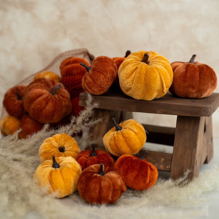 Red de 10 Calabazas