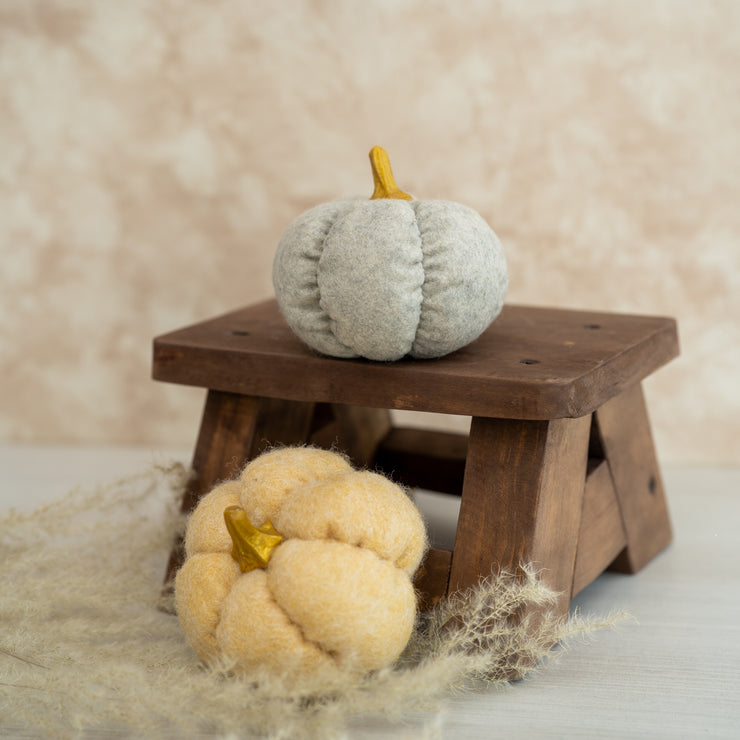Calabazas Rellenas de Fibra