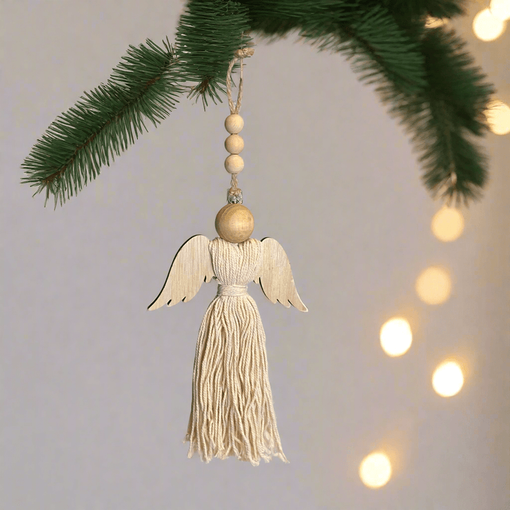 Ángel - ambientihonduras