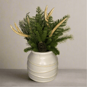 Antler Deco Ivory - ambientihonduras