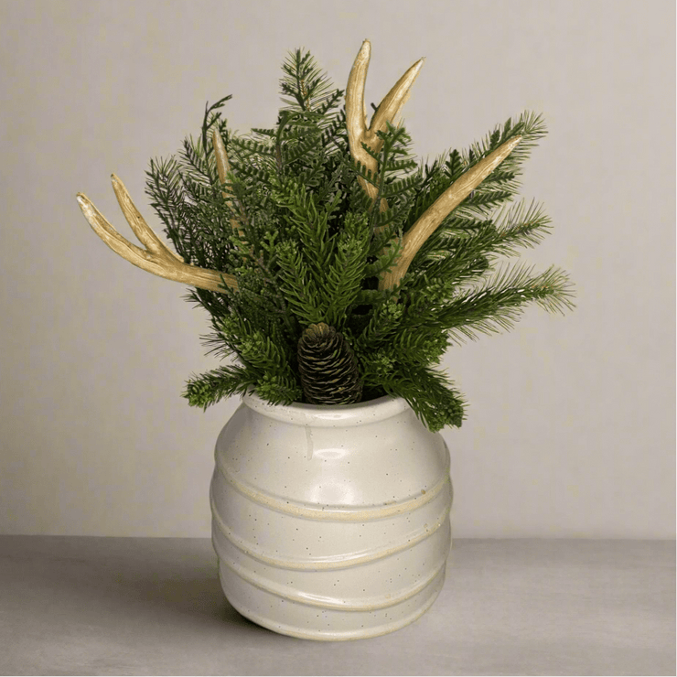 Antler Deco Ivory - ambientihonduras