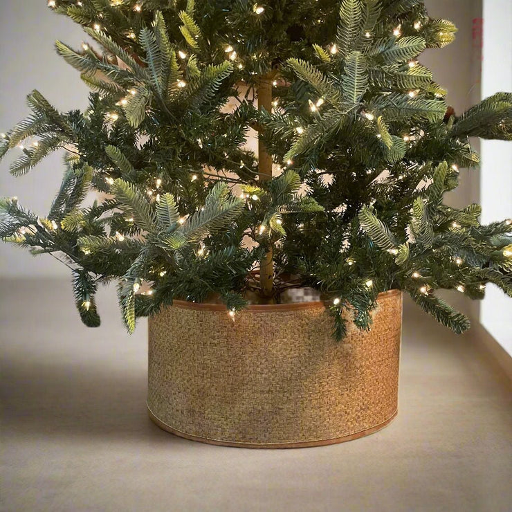 Base de Árbol De Rattan - ambientihonduras