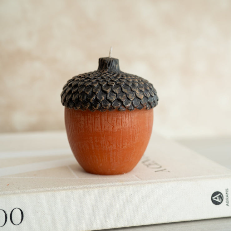 Bellota - ambientihonduras