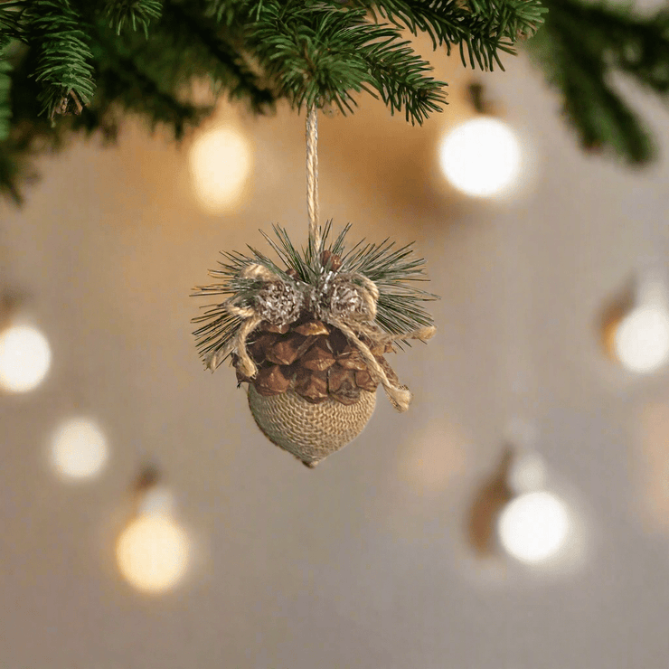 Bellotas de Yute - ambientihonduras