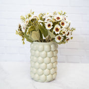 Bubble Vase Cucumber - ambientihonduras