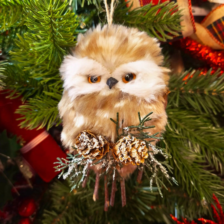 Buhito café - ambientihonduras