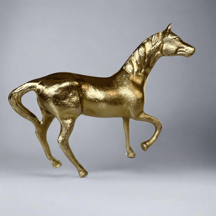 Caballo Dorado - ambientihonduras