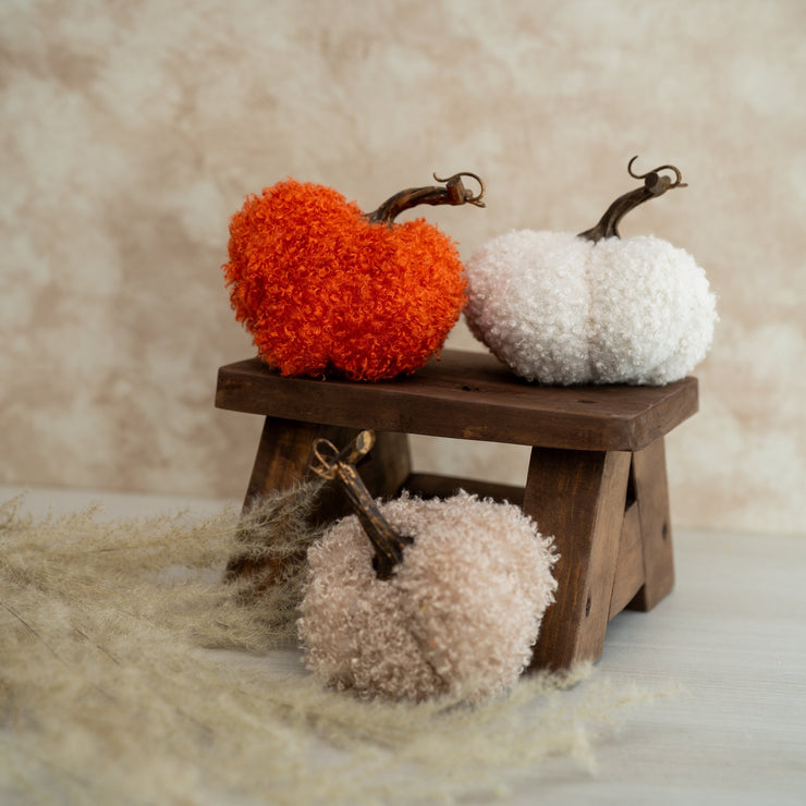 Calabaza De Boucle Pequeñas - ambientihonduras