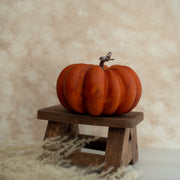 Calabaza Mediana Mate - ambientihonduras