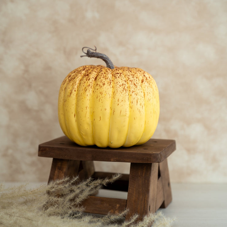 Calabaza Mediana Mate - ambientihonduras