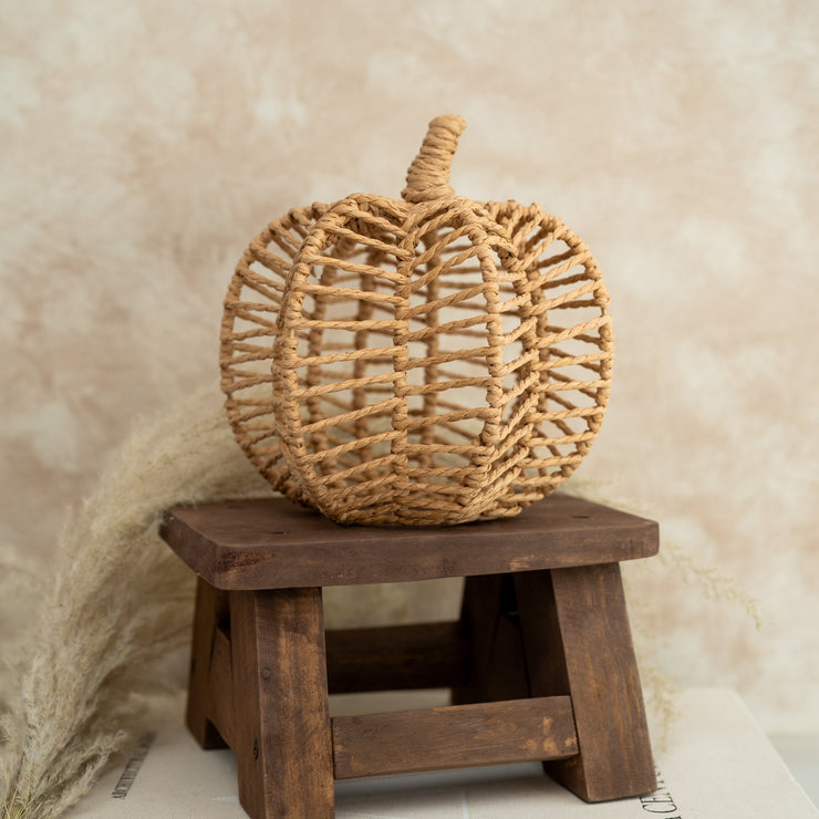 Calabaza Rattan - ambientihonduras